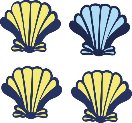 shell